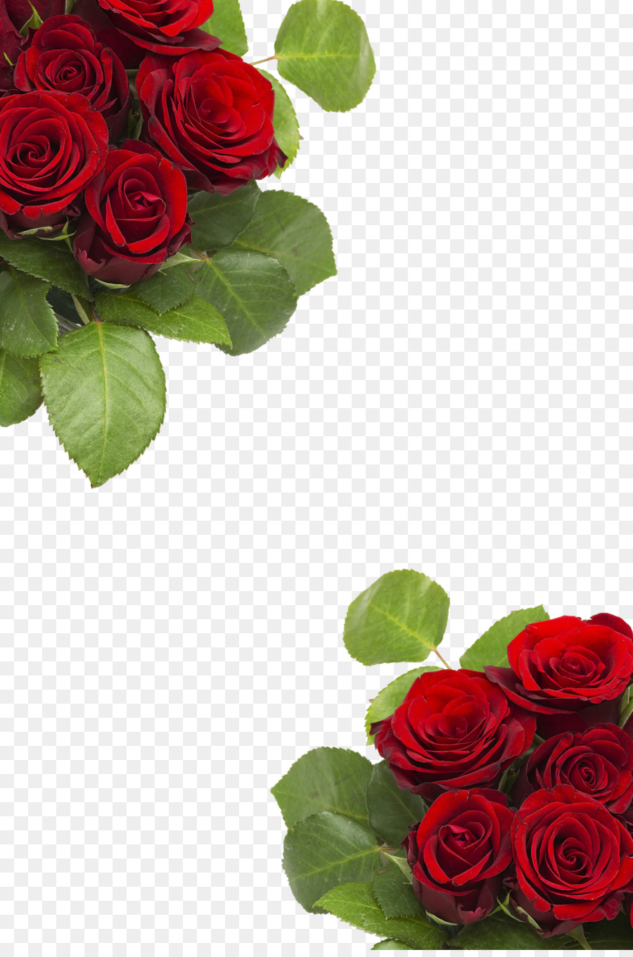 Detail Background Flower Rose Nomer 46