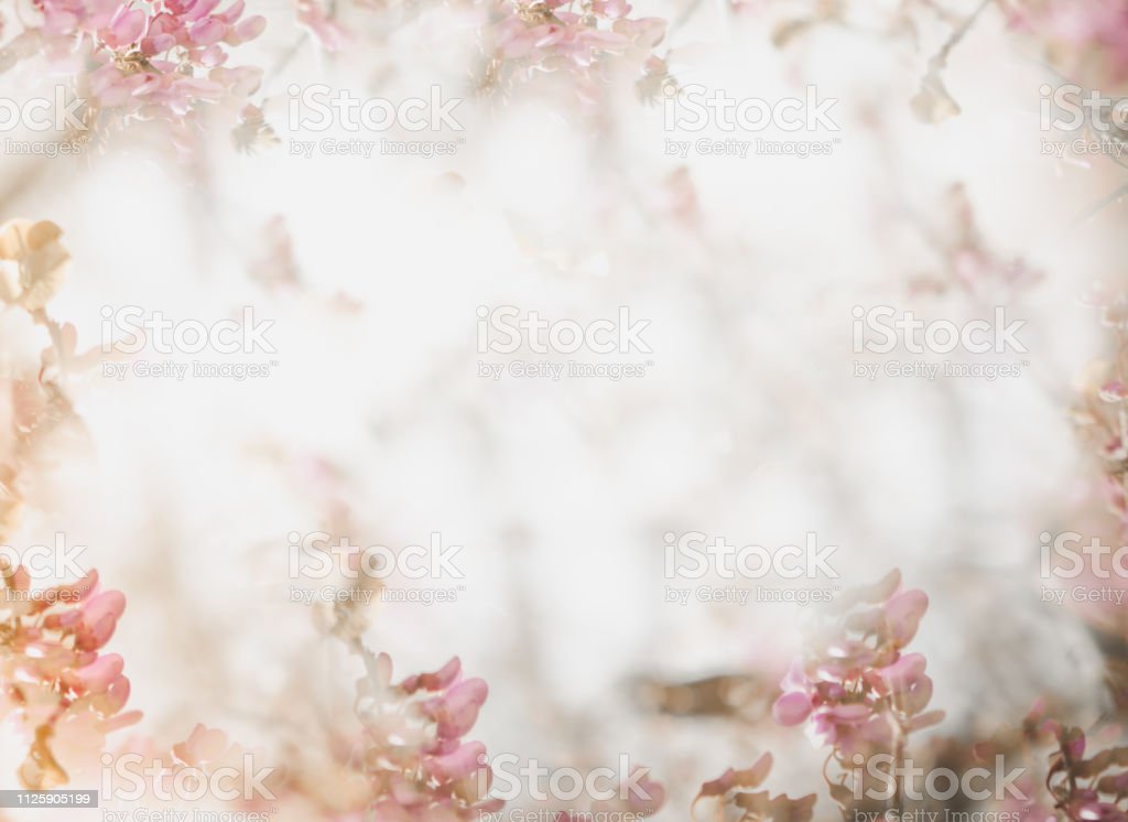 Detail Background Flower Soft Nomer 19