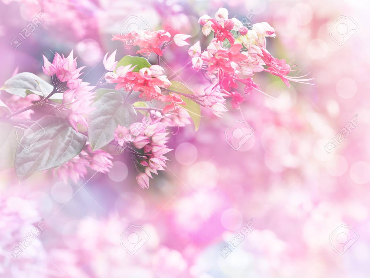 Detail Background Flower Soft Nomer 21