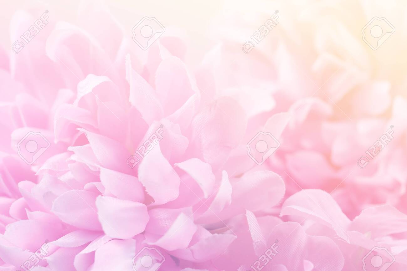 Detail Background Flower Soft Nomer 23