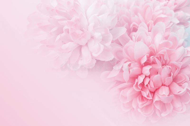 Detail Background Flower Soft Nomer 35