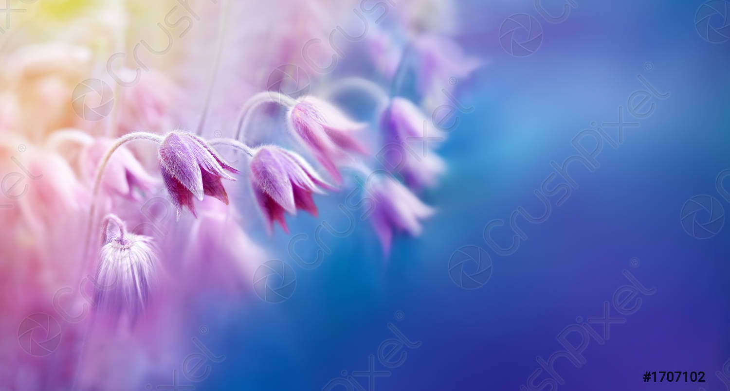 Detail Background Flower Soft Nomer 36