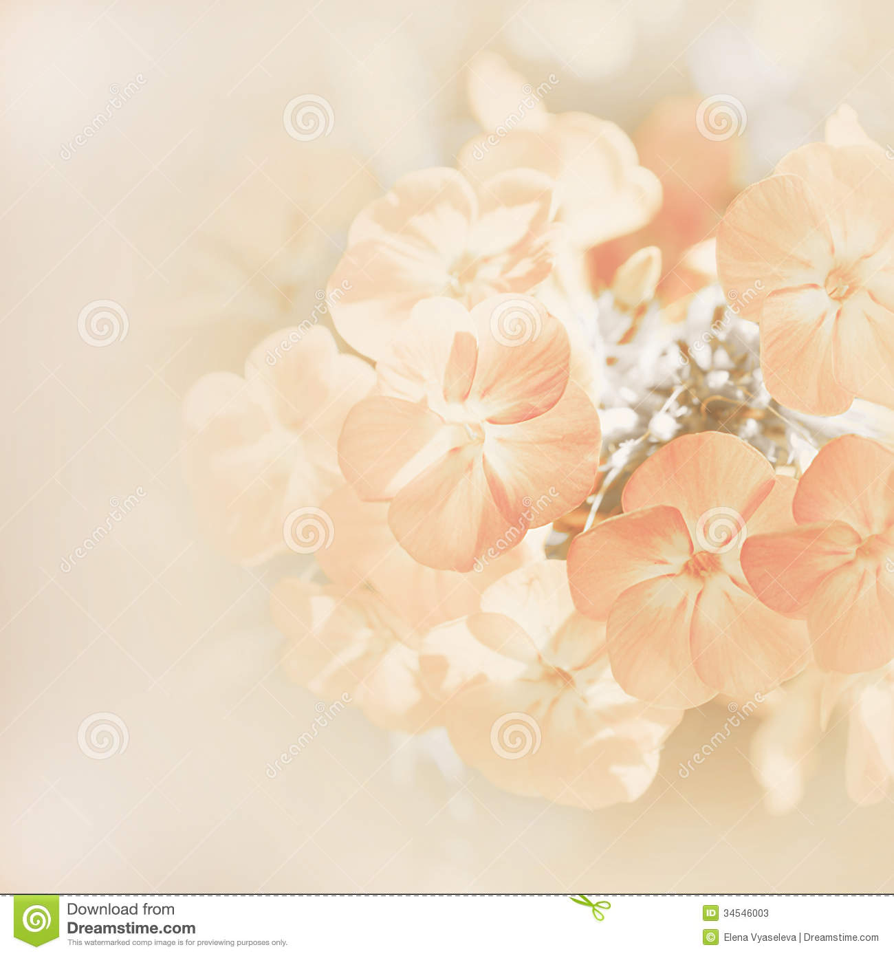 Detail Background Flower Soft Nomer 42