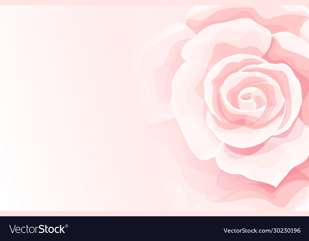 Detail Background Flower Soft Nomer 51