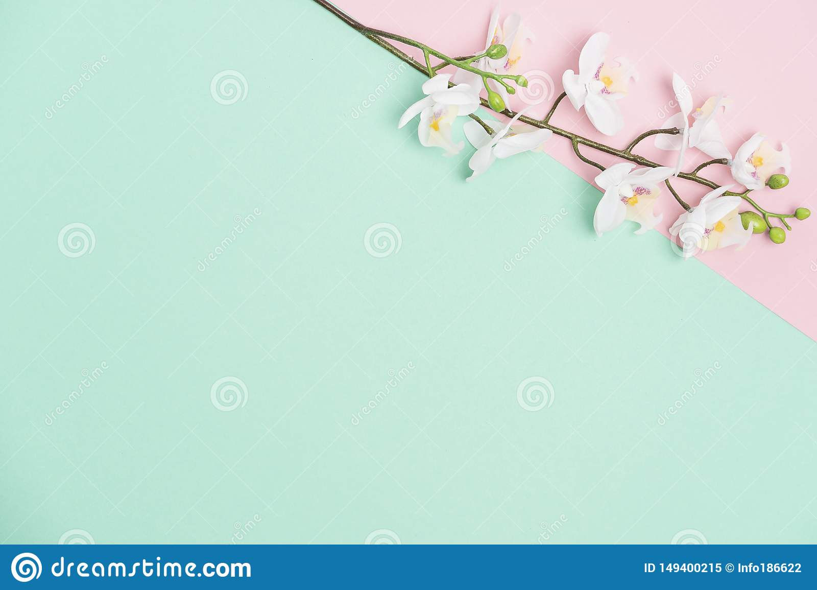 Detail Background Flower Soft Nomer 52