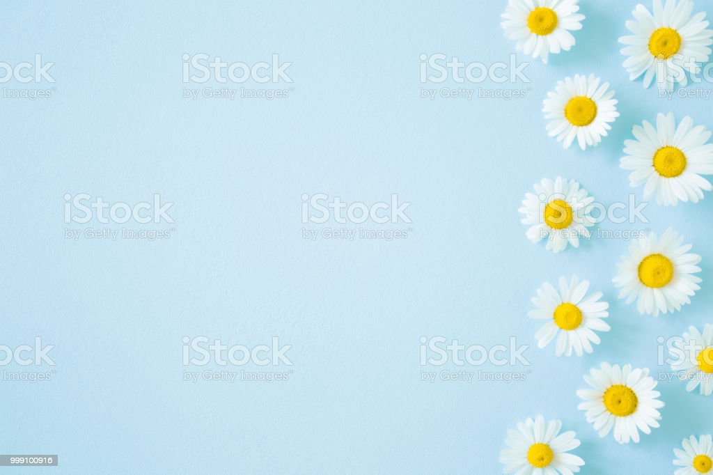 Detail Background Flower Soft Nomer 53