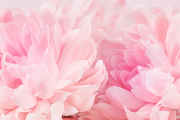 Detail Background Flower Soft Nomer 54