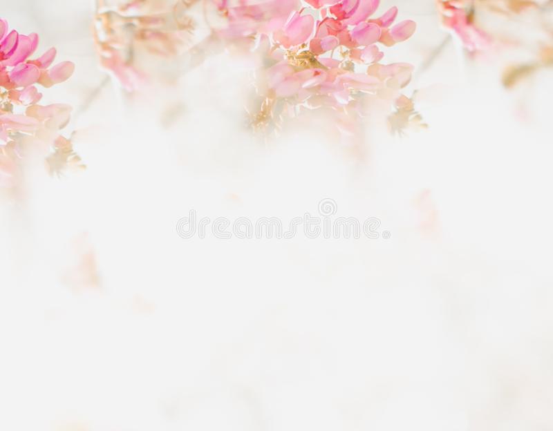 Detail Background Flower Soft Nomer 7