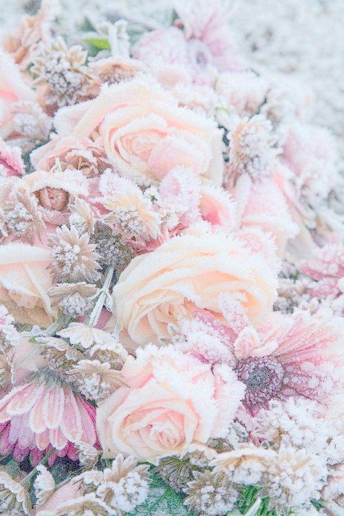 Detail Background Flower Tumblr Nomer 15