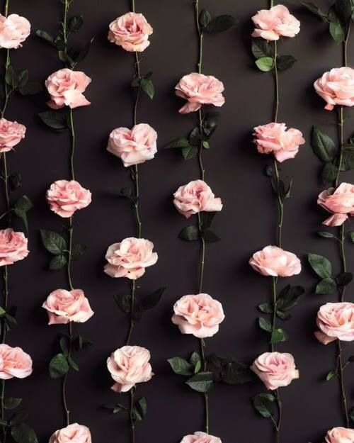 Detail Background Flower Tumblr Nomer 17