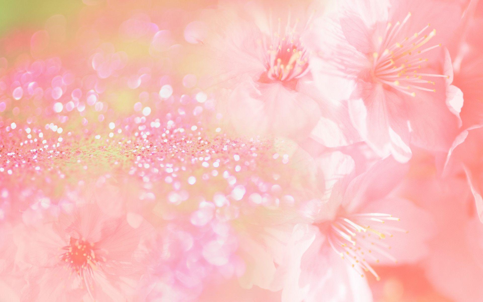Detail Background Flowers Pink Nomer 26