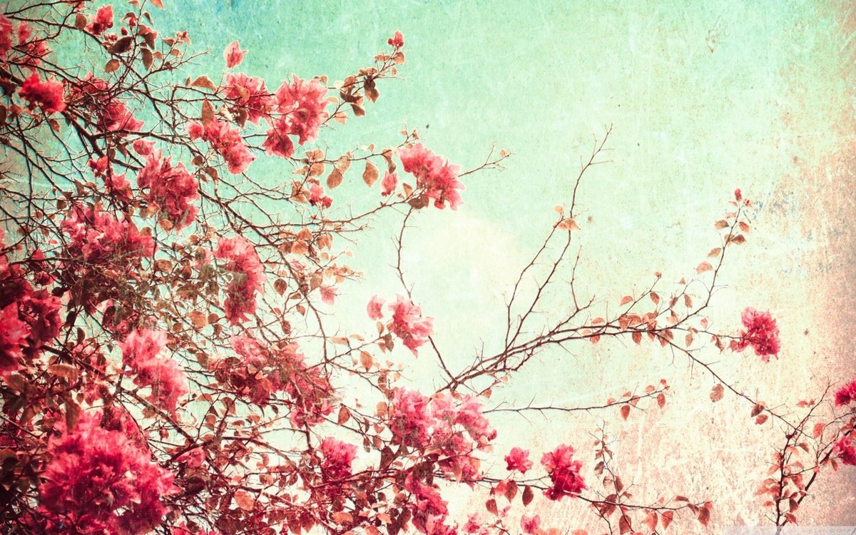 Detail Background Flowers Tumblr Nomer 24