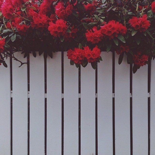 Detail Background Foto Ala Selebgram Nomer 14