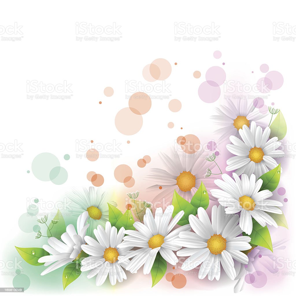 Detail Background Foto Flower Nomer 33