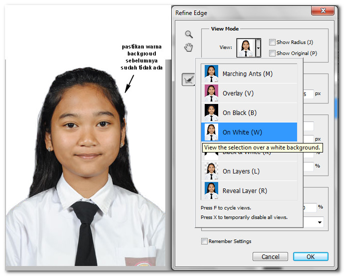 Detail Background Foto Ijazah Nomer 38