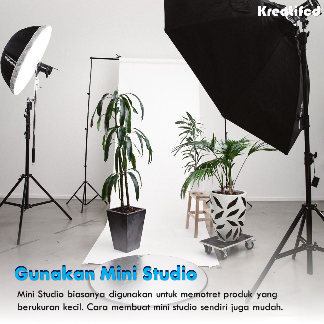 Download Background Foto Jualan Online Nomer 43