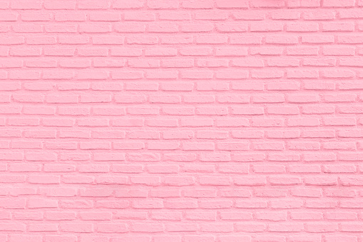 Detail Background Foto Pink Nomer 32