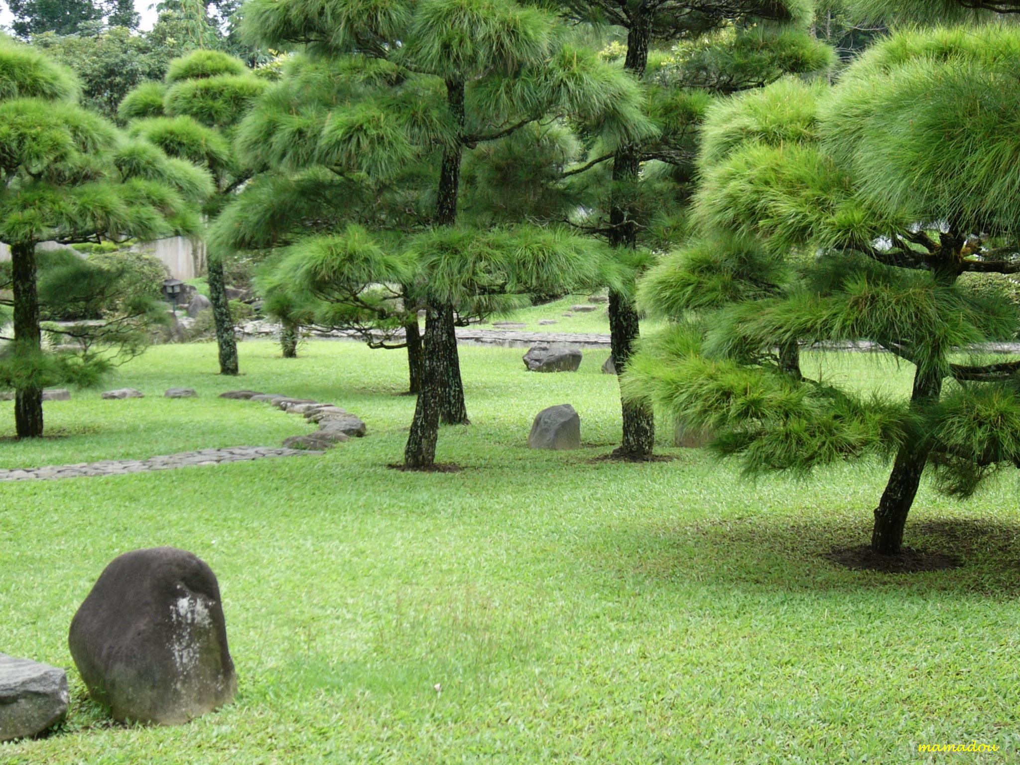 Detail Background Foto Taman Nomer 45