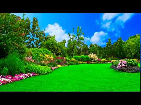 Detail Background Foto Taman Nomer 46