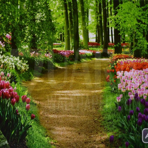 Detail Background Foto Taman Nomer 53