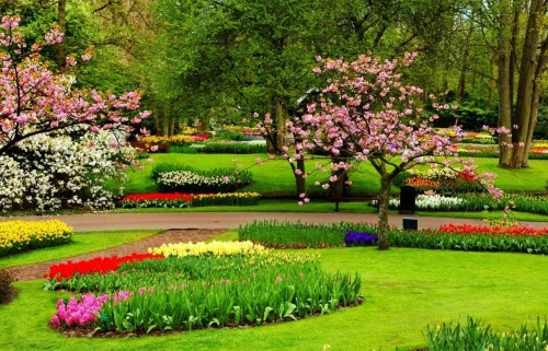 Detail Background Foto Taman Nomer 56