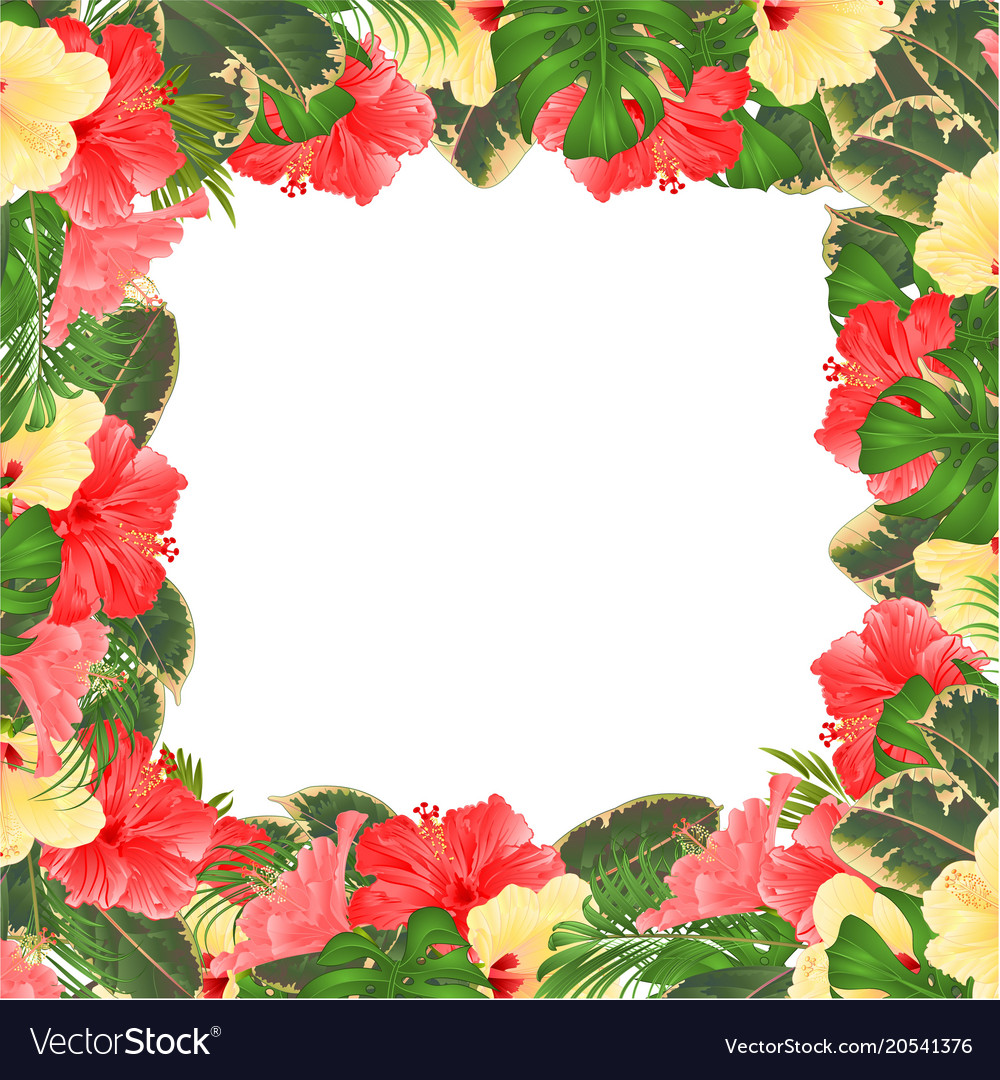 Detail Background Frame Bunga Nomer 22