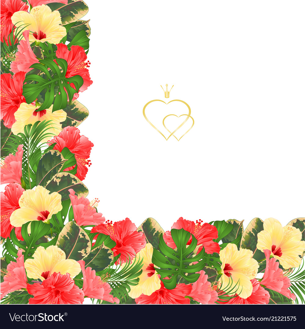 Detail Background Frame Bunga Nomer 44