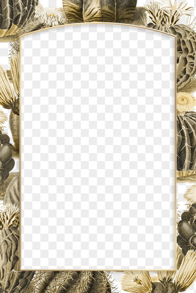 Detail Background Frame Lucu Nomer 29
