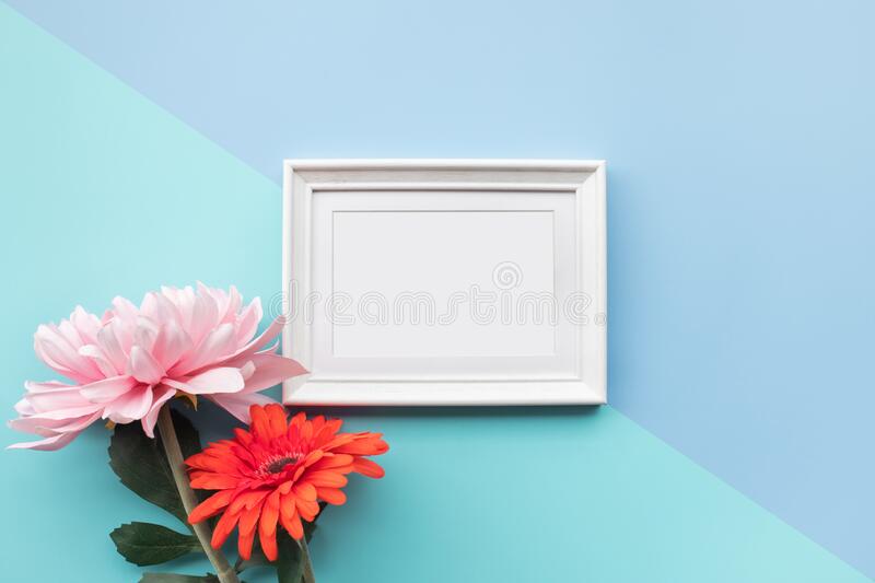 Detail Background Frame Lucu Nomer 41