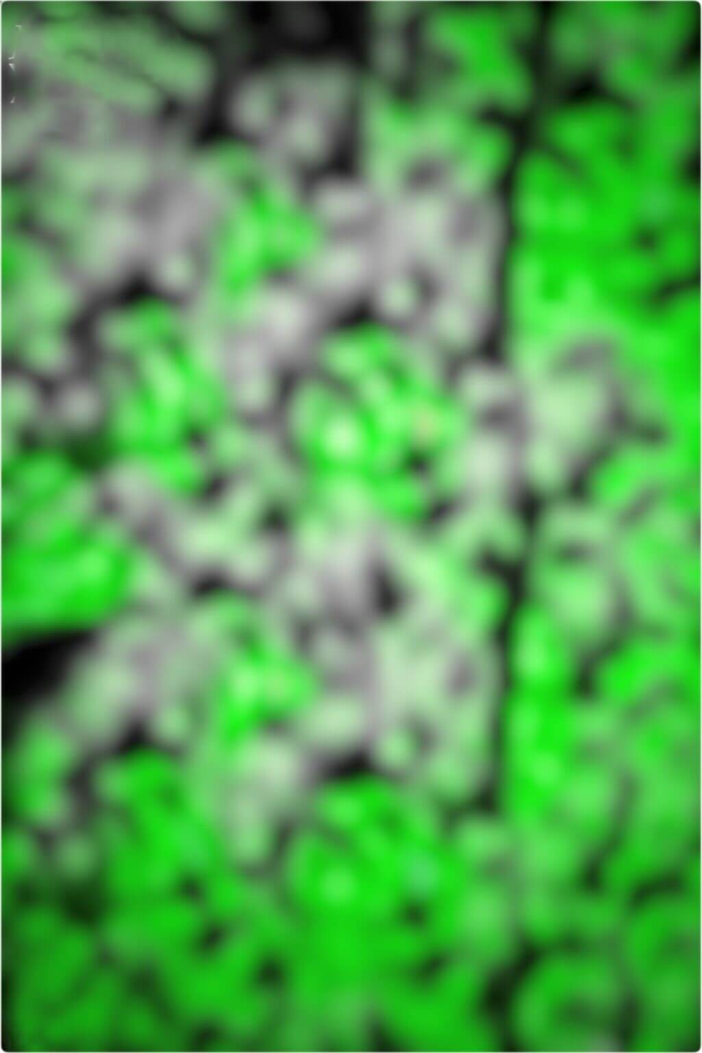 Detail Background Full Green Nomer 26