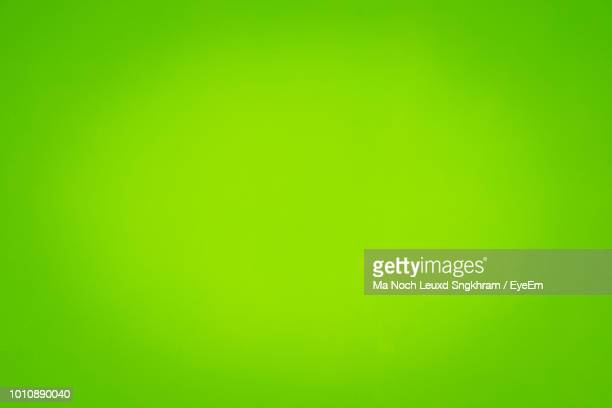 Detail Background Full Green Nomer 31