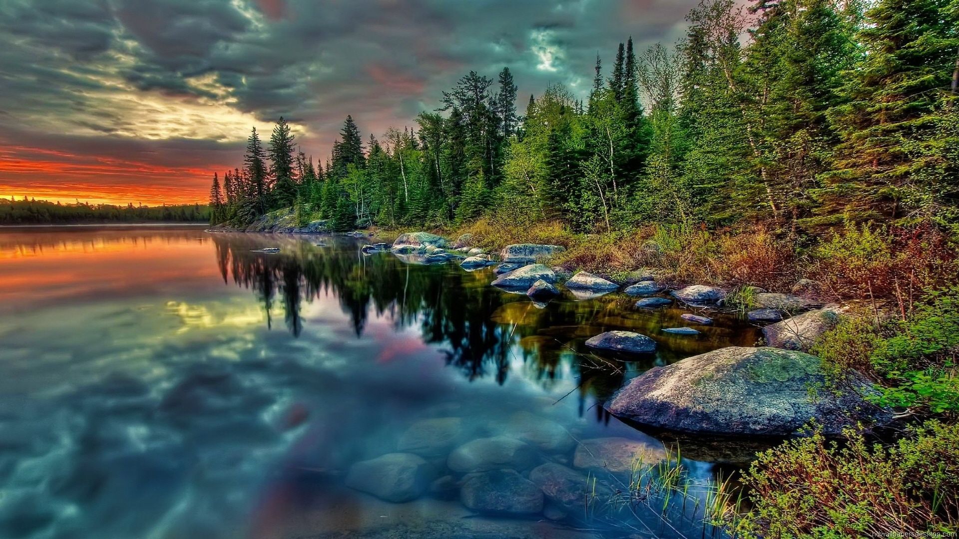 Detail Background Full Hd Nomer 4