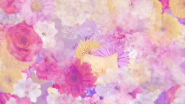 Detail Background Gambar Bunga Nomer 37