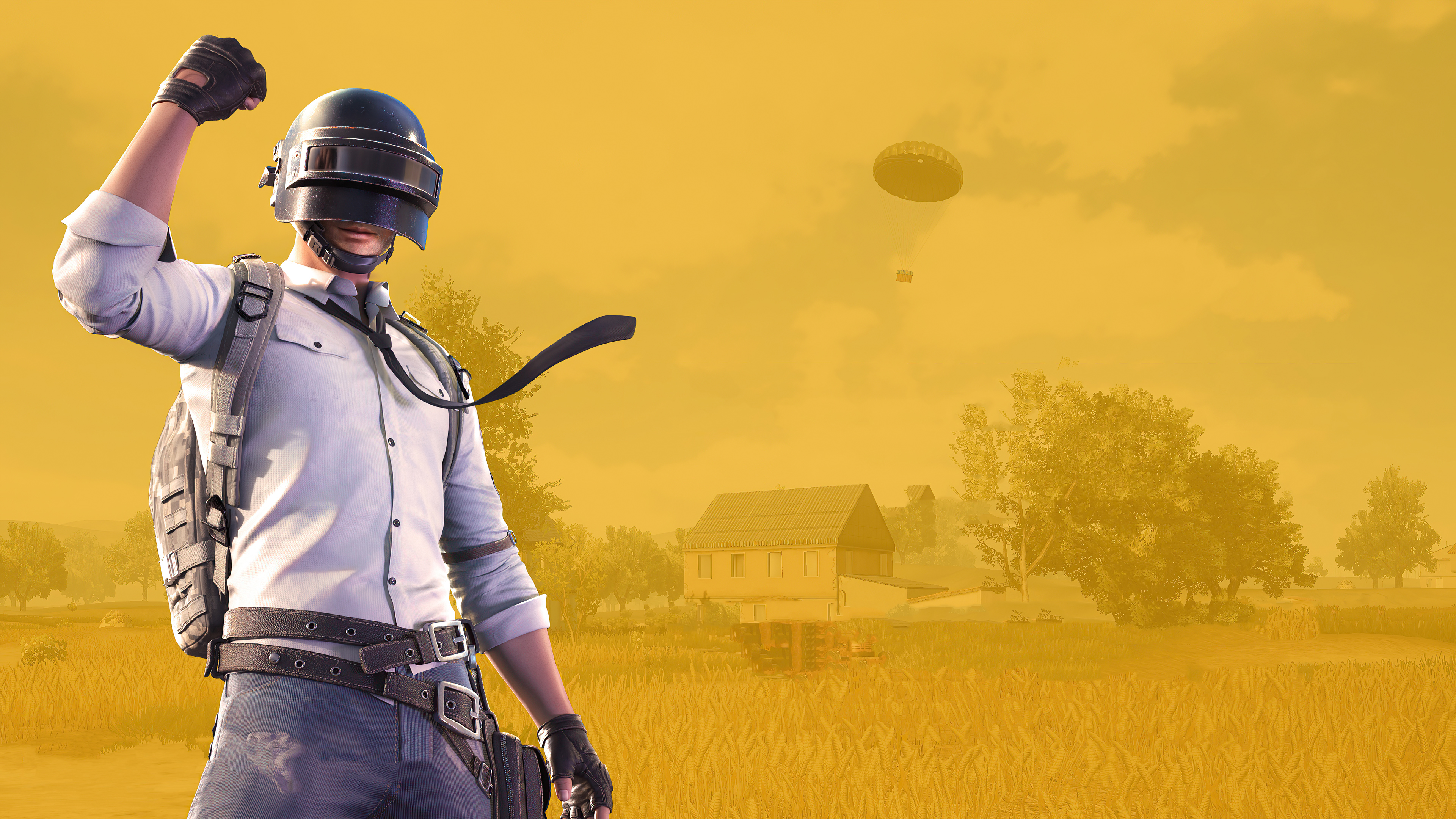 Detail Background Game Pubg Nomer 17