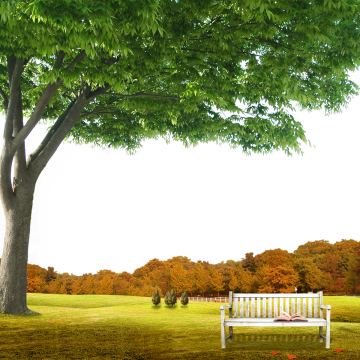 Background Garden Png - KibrisPDR