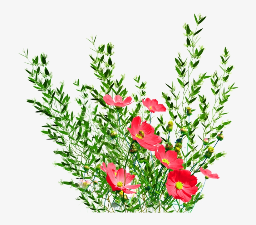 Detail Background Garden Png Nomer 41