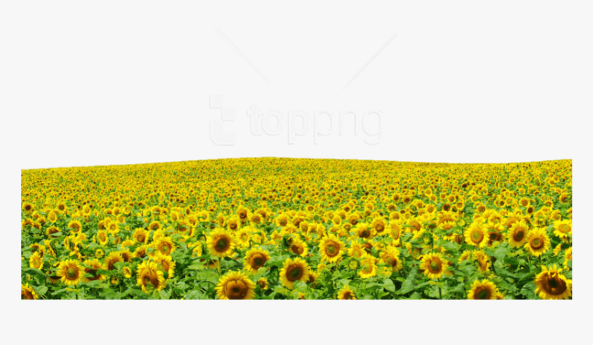 Detail Background Garden Png Nomer 54