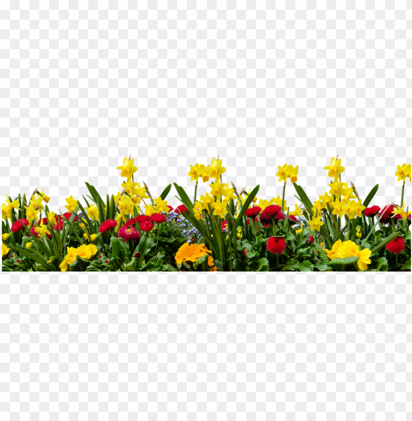 Detail Background Garden Png Nomer 8