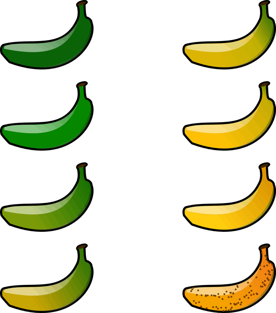 Detail Banane Beere Nomer 24