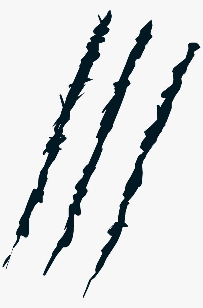 Detail Bear Claw Marks Nomer 16