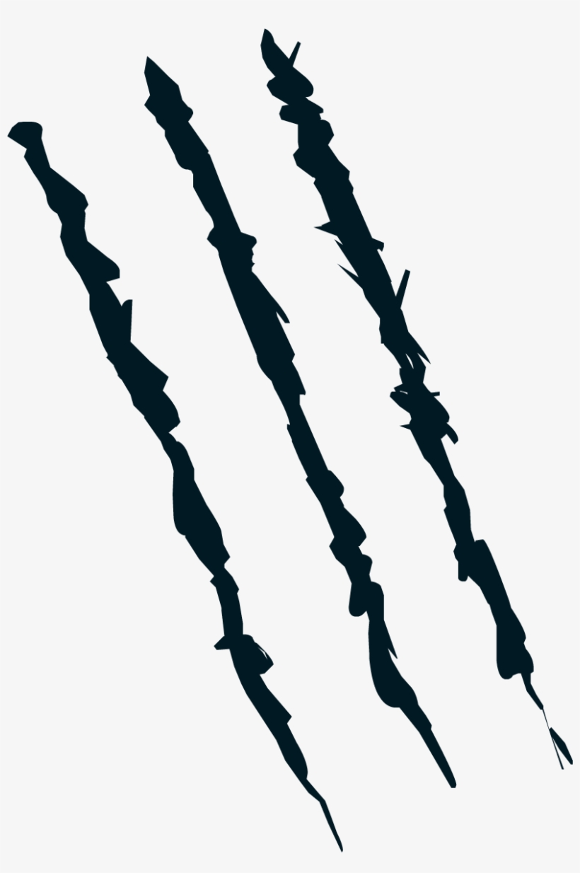 Detail Bear Claw Marks Nomer 18