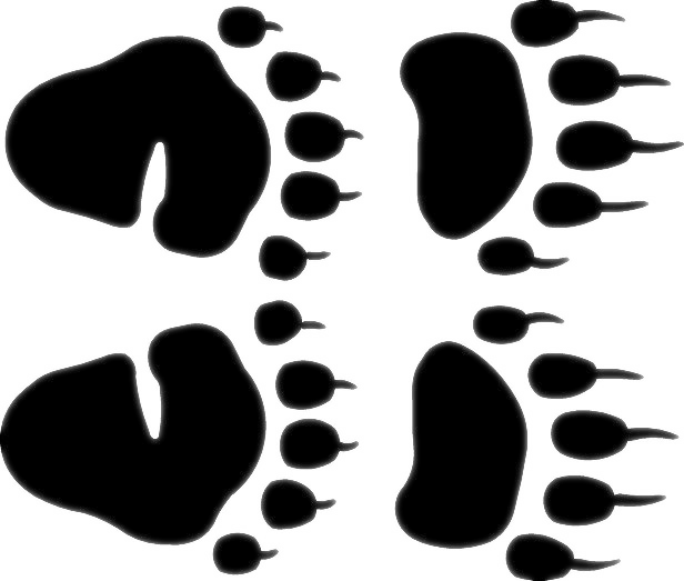 Detail Bear Claw Marks Nomer 22