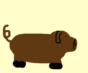 Detail Brown Pig Nomer 18