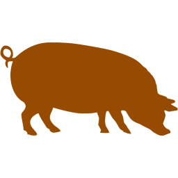 Detail Brown Pig Nomer 4