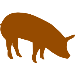 Detail Brown Pig Nomer 5