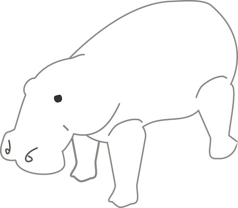 Detail Hipopotamo Blanco Nomer 2