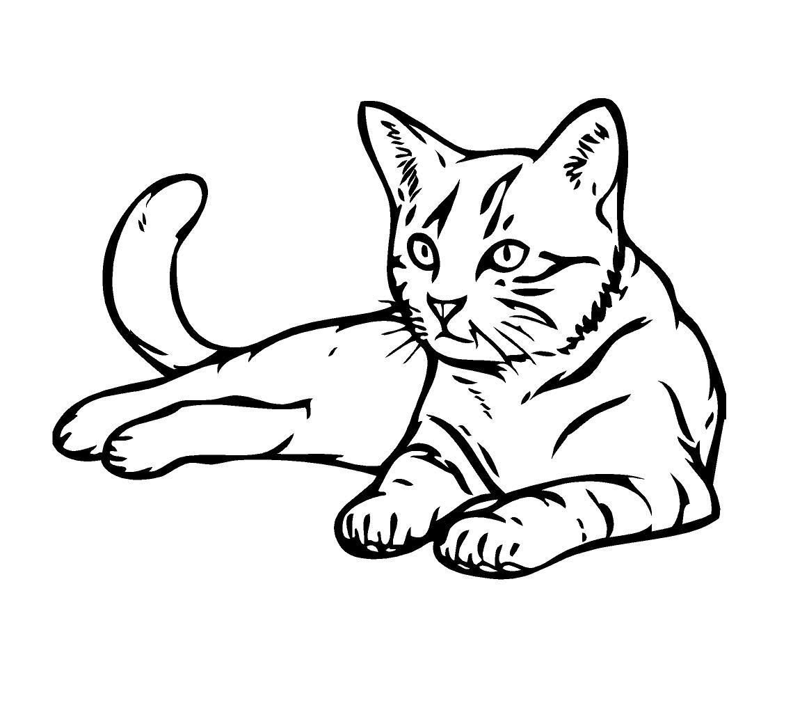 Detail Katze Zeichnen Bleistift Einfach Nomer 11