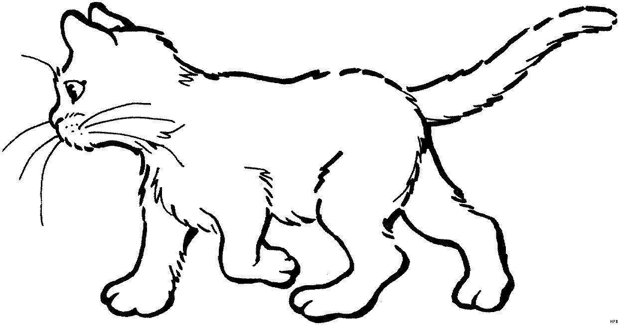 Detail Katze Zeichnen Bleistift Einfach Nomer 13