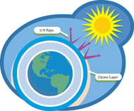 Detail Seismograph Clipart Nomer 21