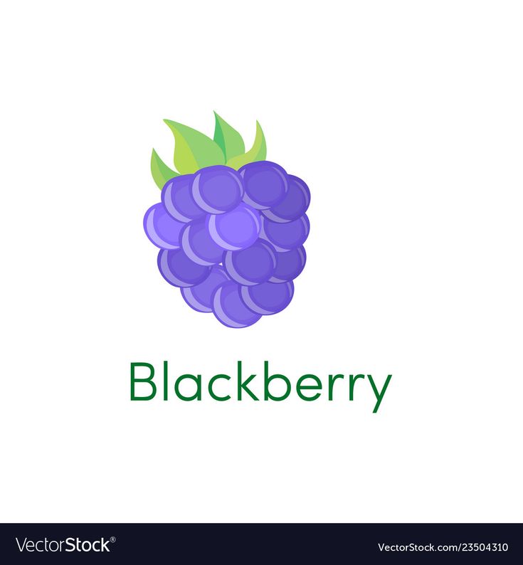 Detail Download Logo Blackberry Vector Nomer 15
